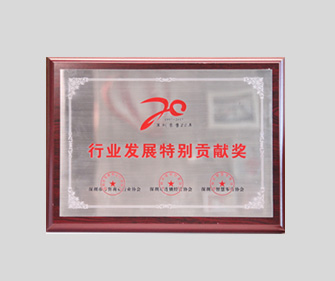 深圳零售20年 &ldquo;行业发展特别贡献奖&rdquo;